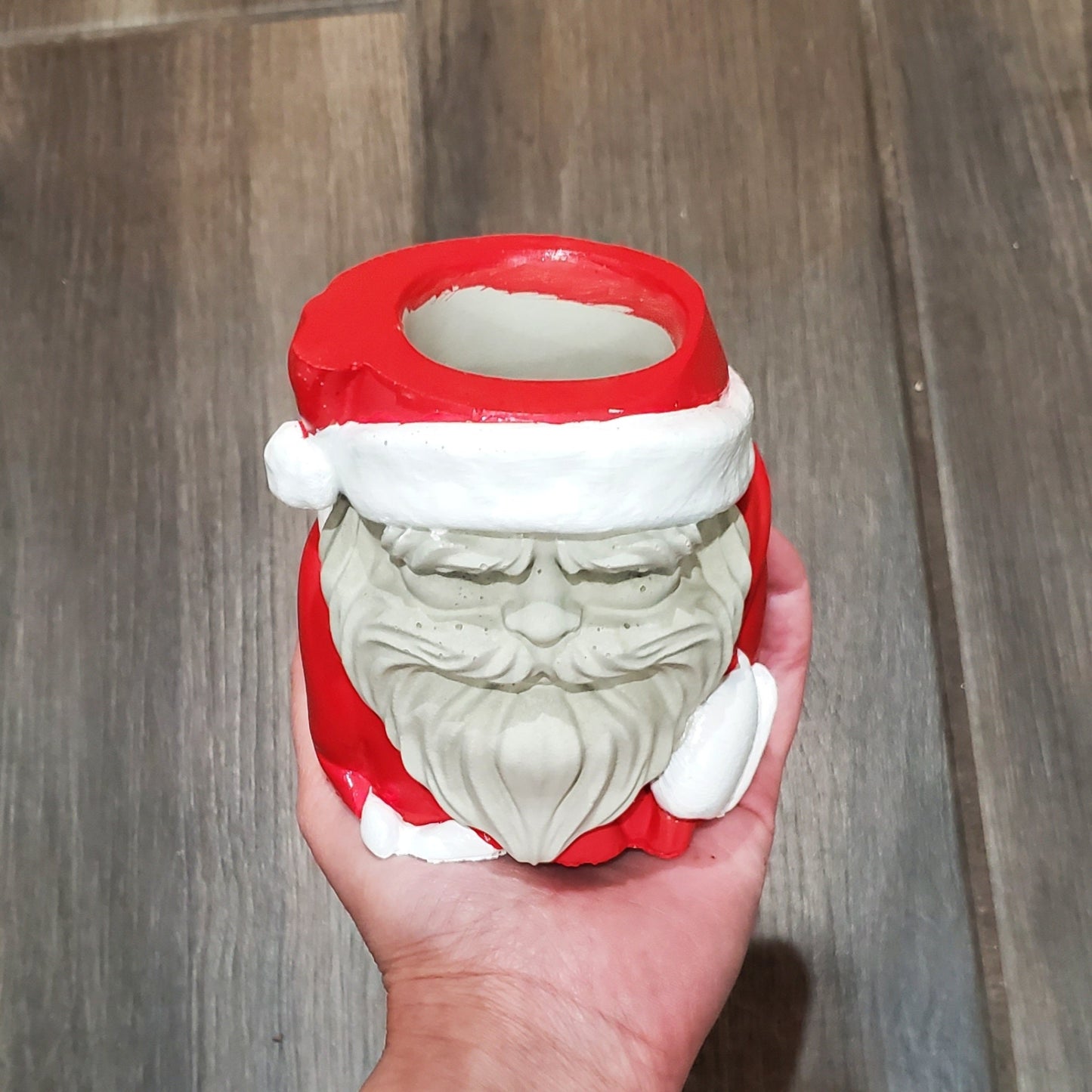 Succulent Santa Arrangement