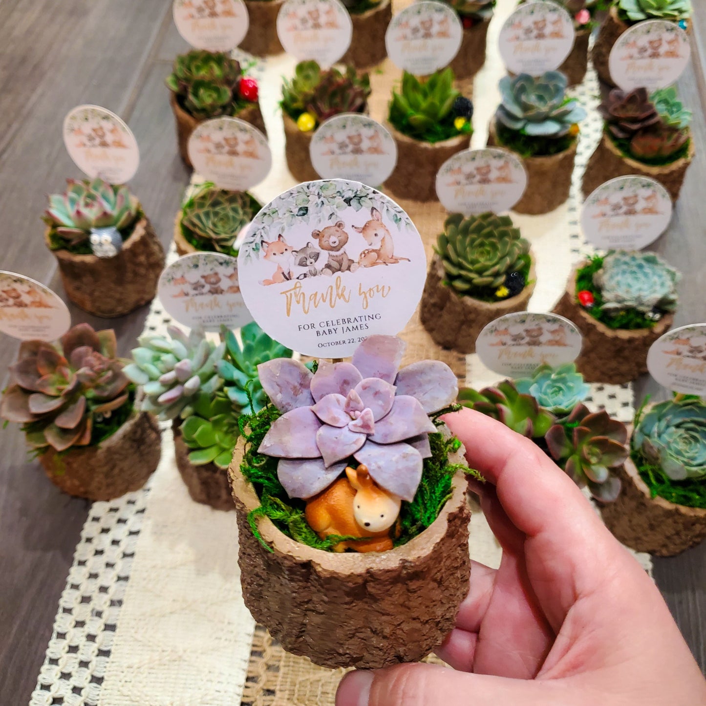 Woodland Themed Succulent Favors