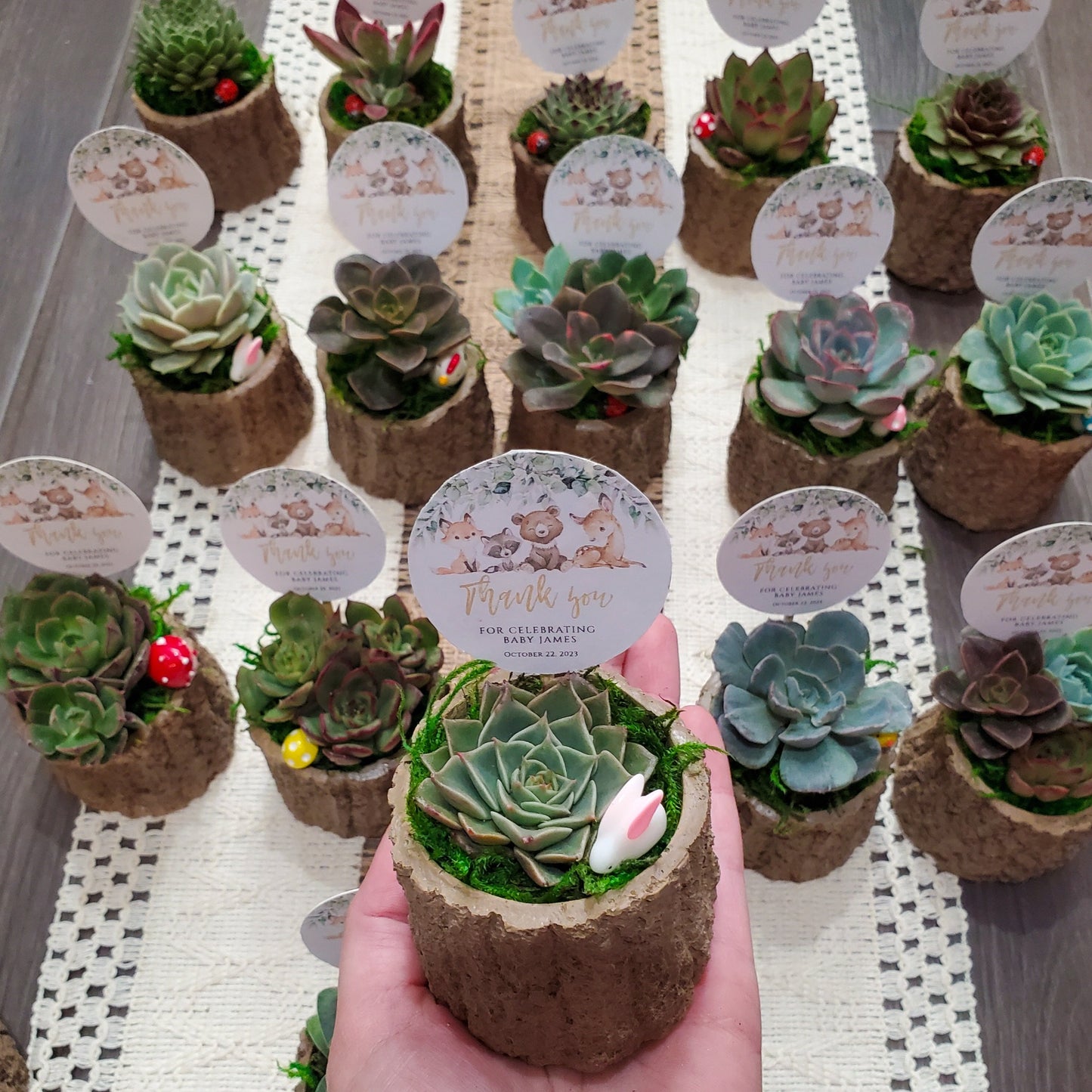 Woodland Themed Succulent Favors