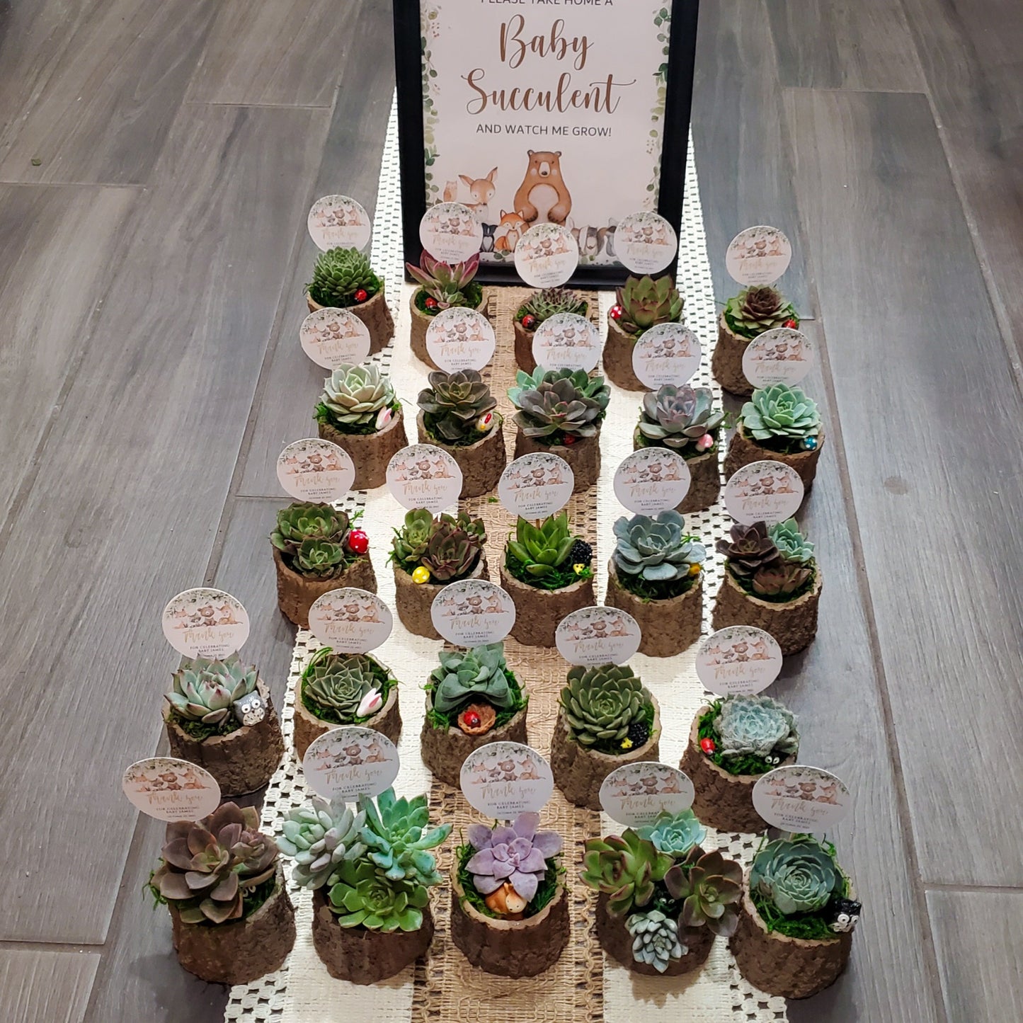 Woodland Themed Succulent Favors