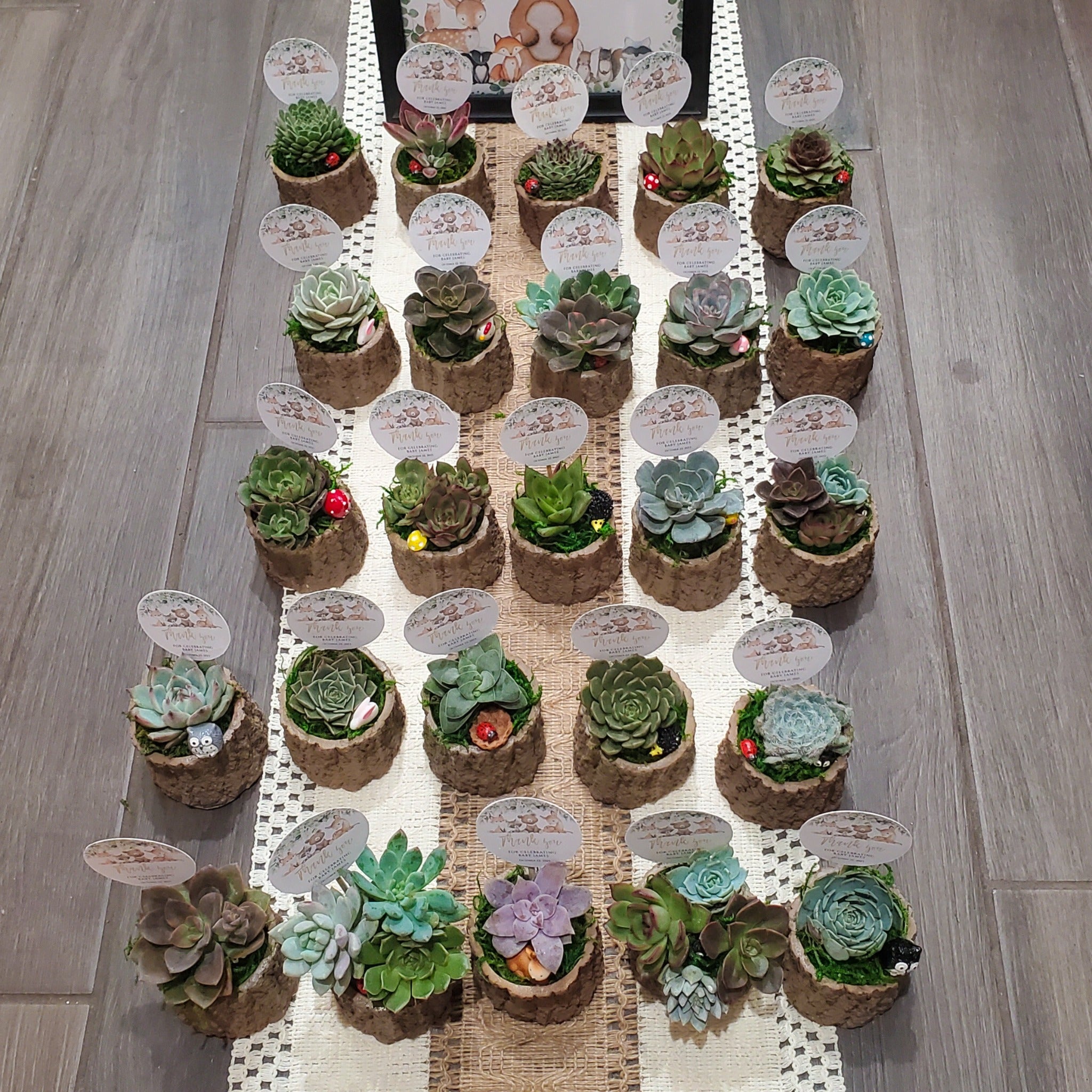 Woodland Themed Succulent Favors Rooted in Paradise Succulent