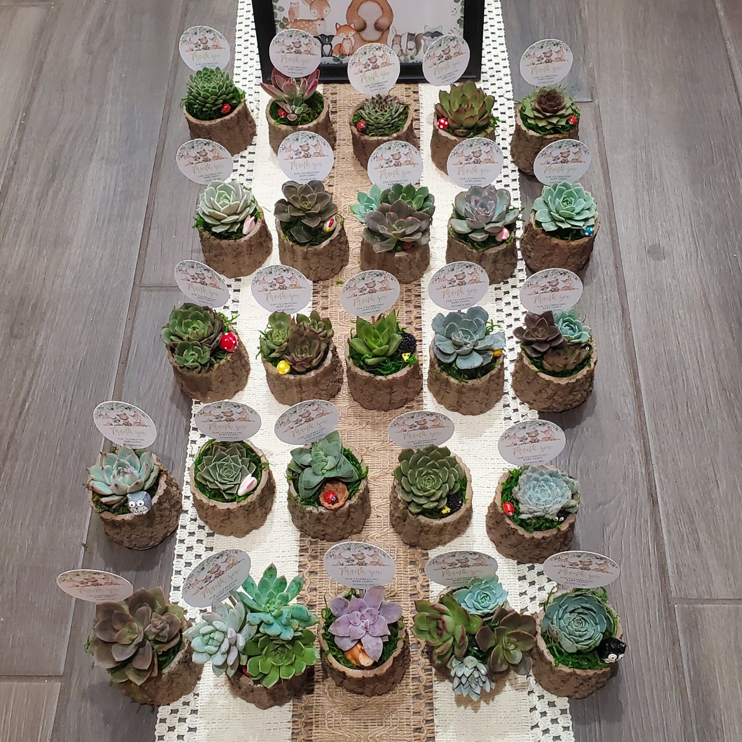 Woodland Themed Succulent Favors
