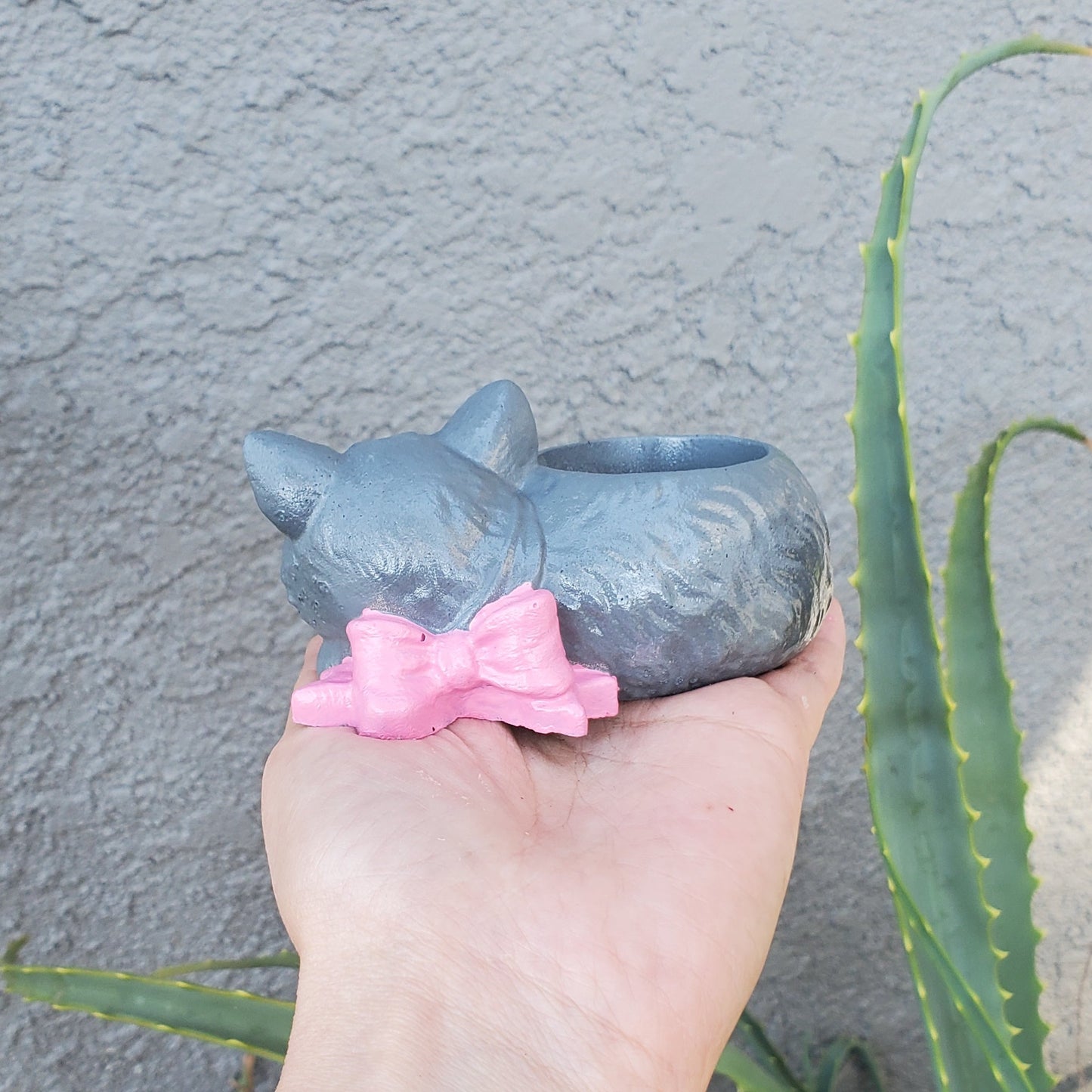 'Calico Kitten' Succulent Kitten Arrangement