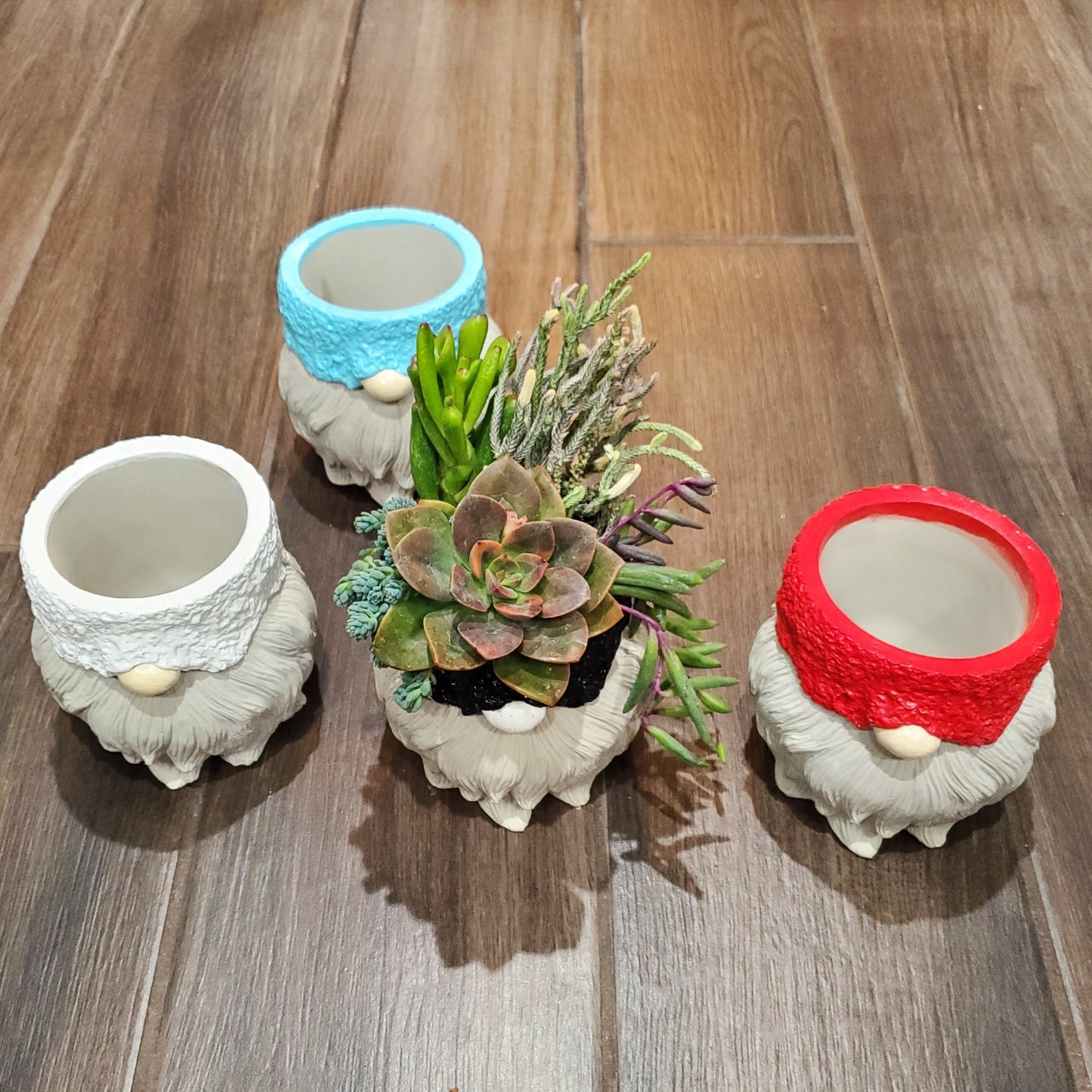 Succulent Gnome Arrangement