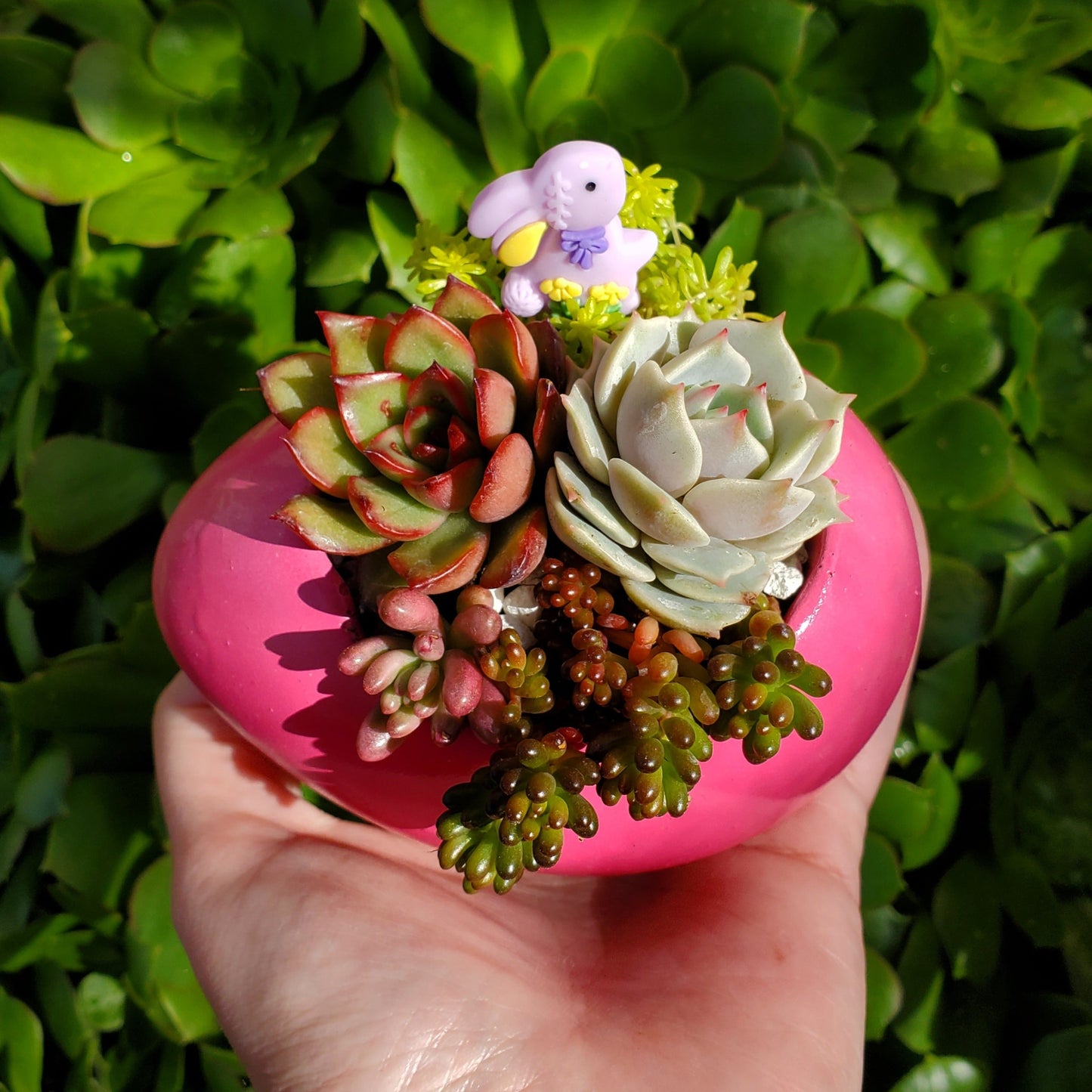 Succulent Easter Egg Arrangement