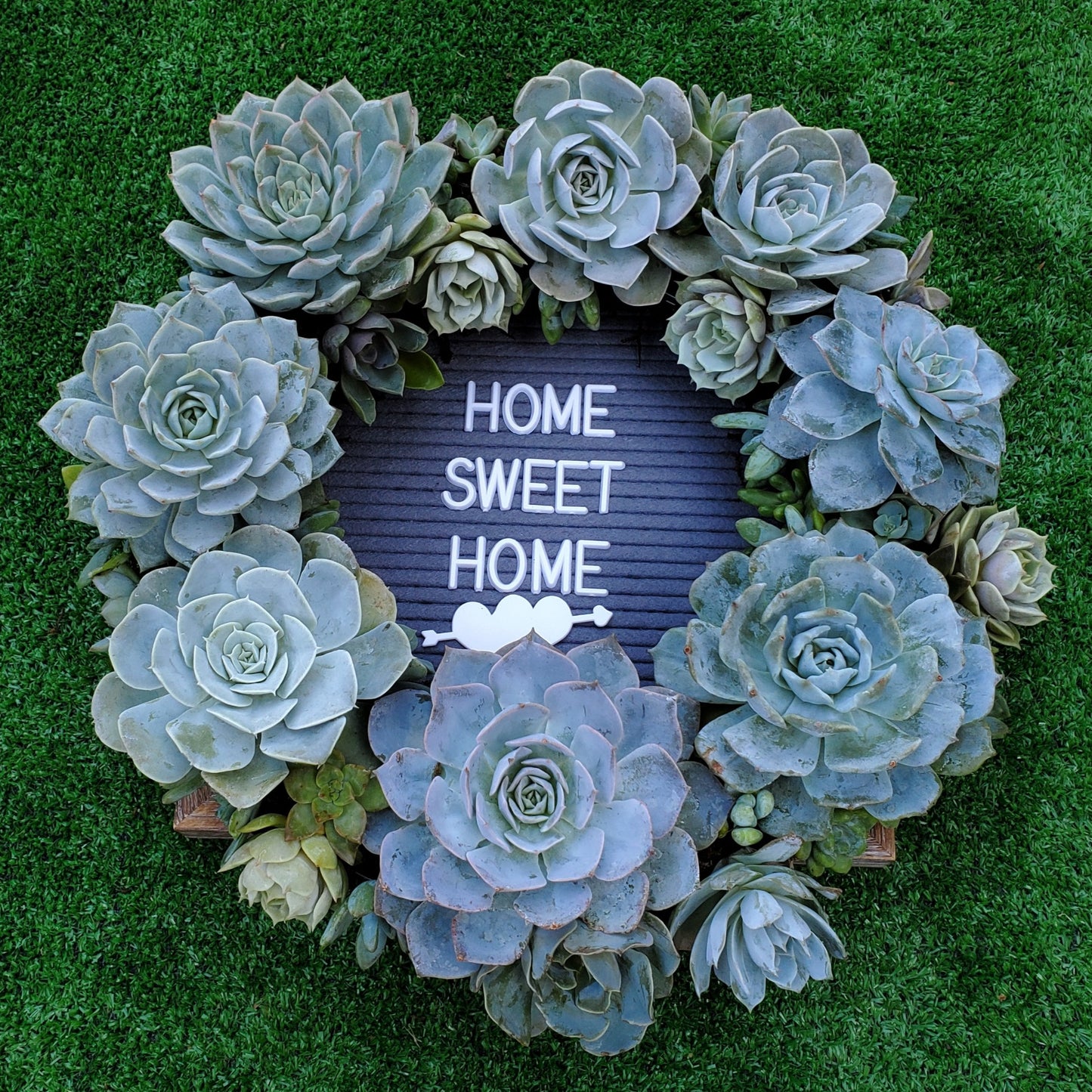 Leonna Living Wreath