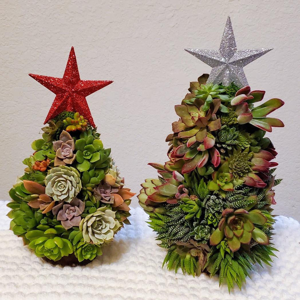 christmas tree with succulents Large Succulent Trimmed Christmas Tree