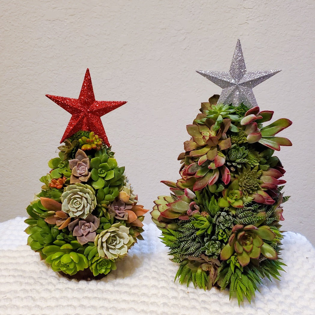 Small Succulent Trimmed Christmas Tree