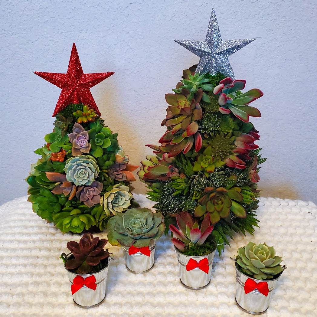 Holiday Themed Succulent Favors in Mini Pots