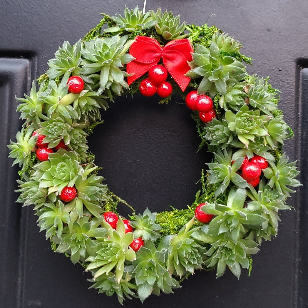 Sempervivum Wreath Ornament