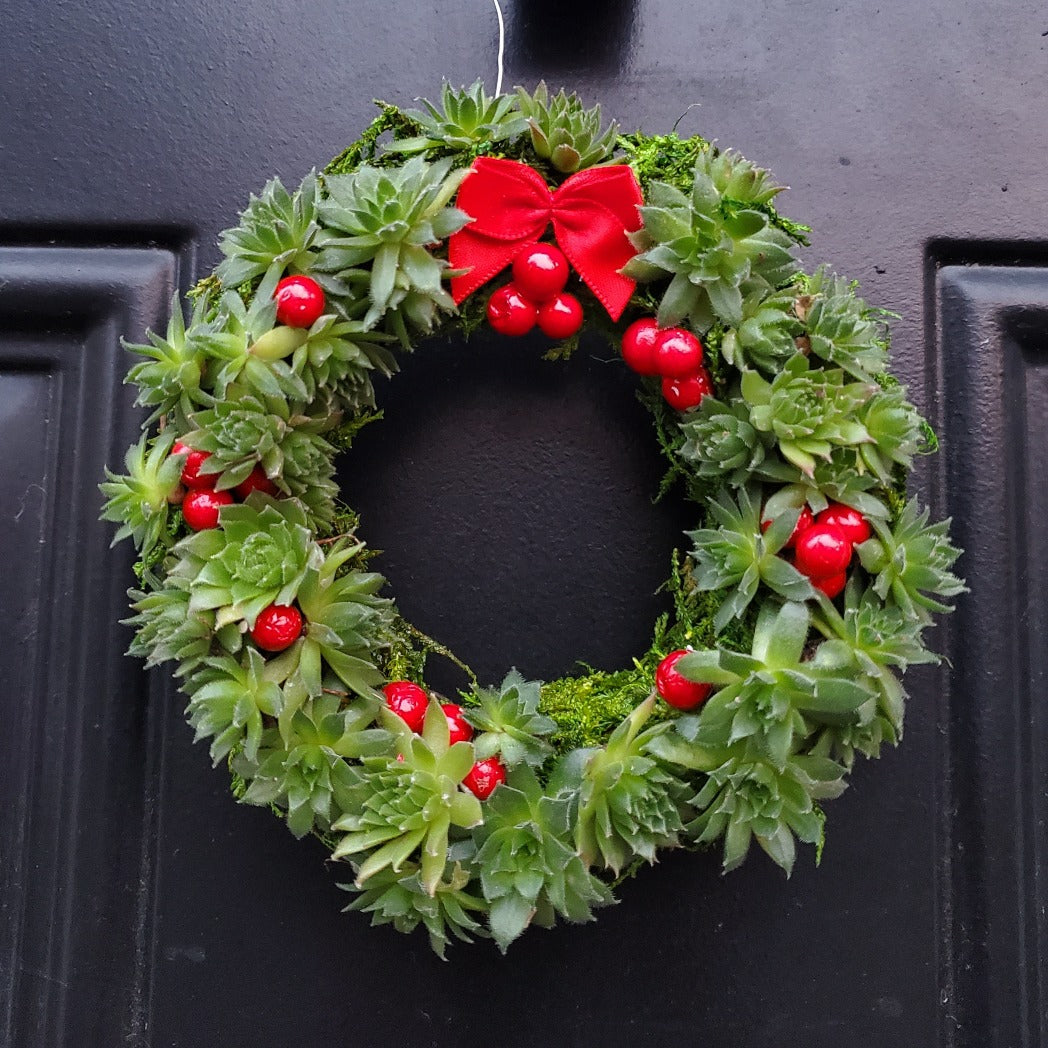 Sempervivum Wreath Ornament