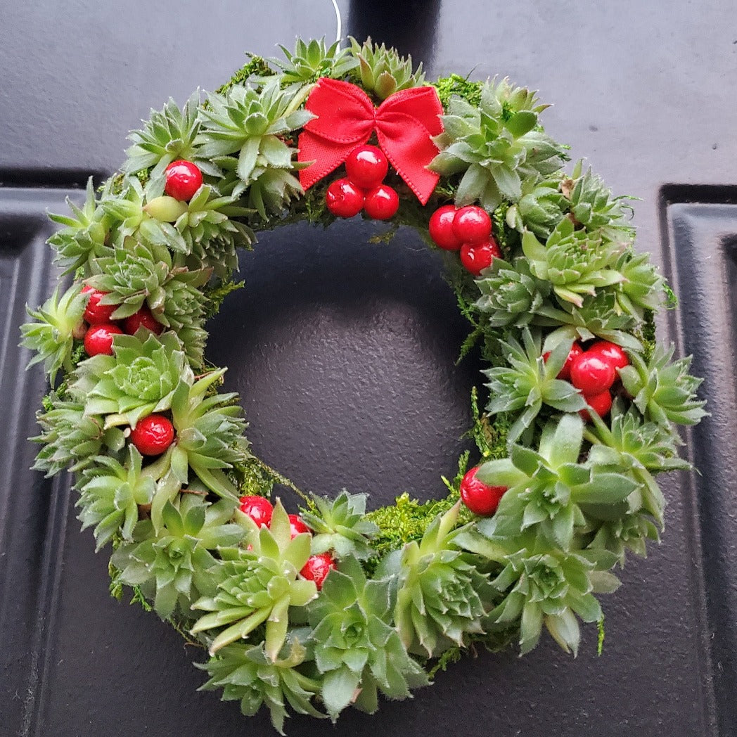 Sempervivum Wreath Ornament