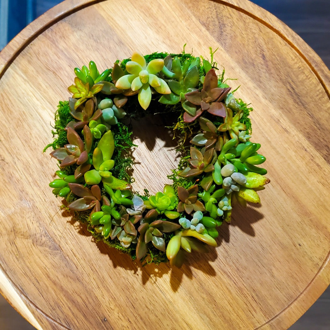 succulent ornament Succulent Full Wreath Ornament