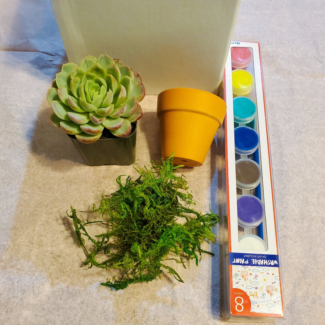 succulent brush DIY Paint and Plant Succulent Kit