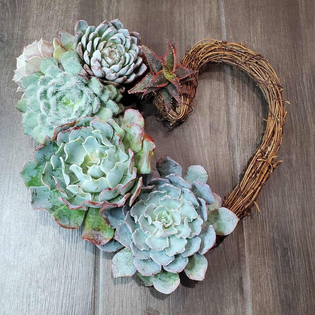 wreath with succulents Victoria Heart Grapevine Wreath