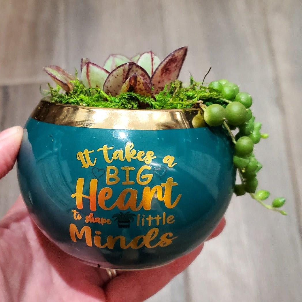 succulent gift pot It Takes a Big Heart to Grow Little Minds Succulent Gift Box