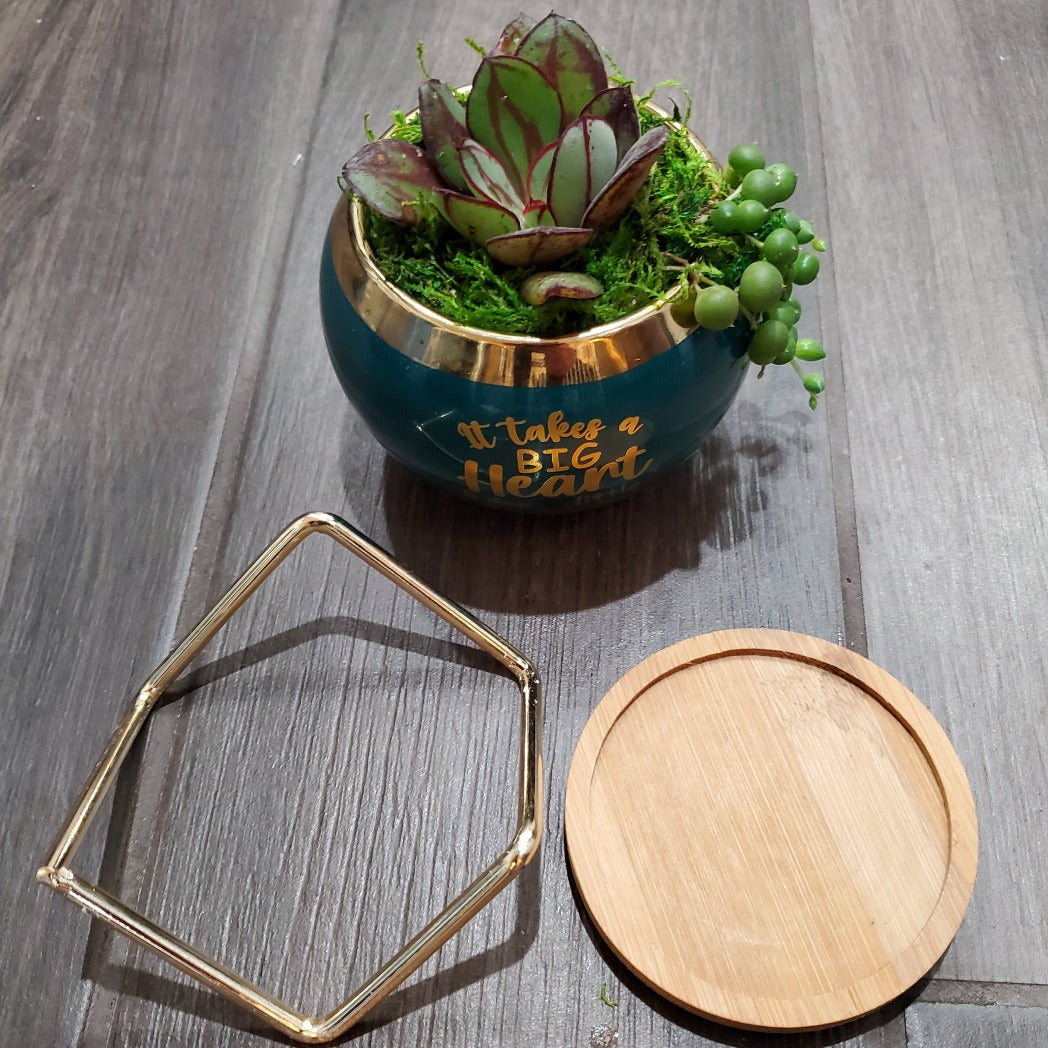 "It Takes a Big Heart to Grow Little Minds" Succulent Gift Box