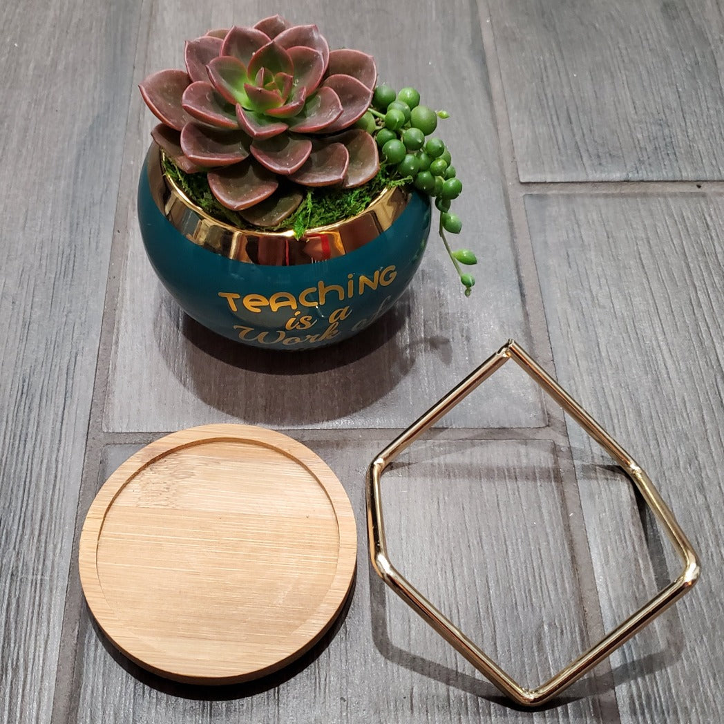 "Teaching is a Work of Heart" Succulent Gift Box