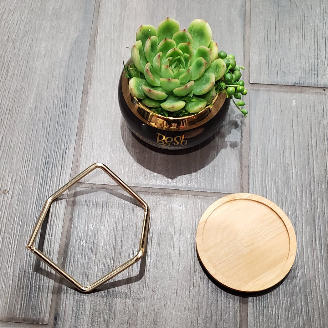 "Best Teacher Ever" Succulent Gift Box