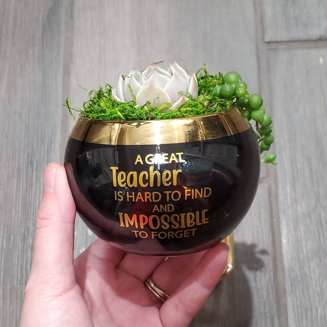 "A Great Teacher is Hard to Find" Succulent Gift Box