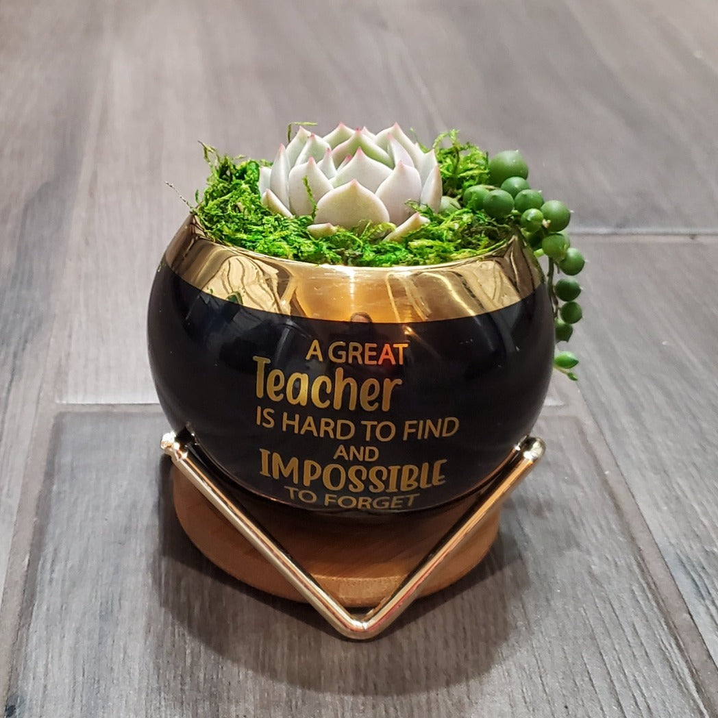 "A Great Teacher is Hard to Find" Succulent Gift Box