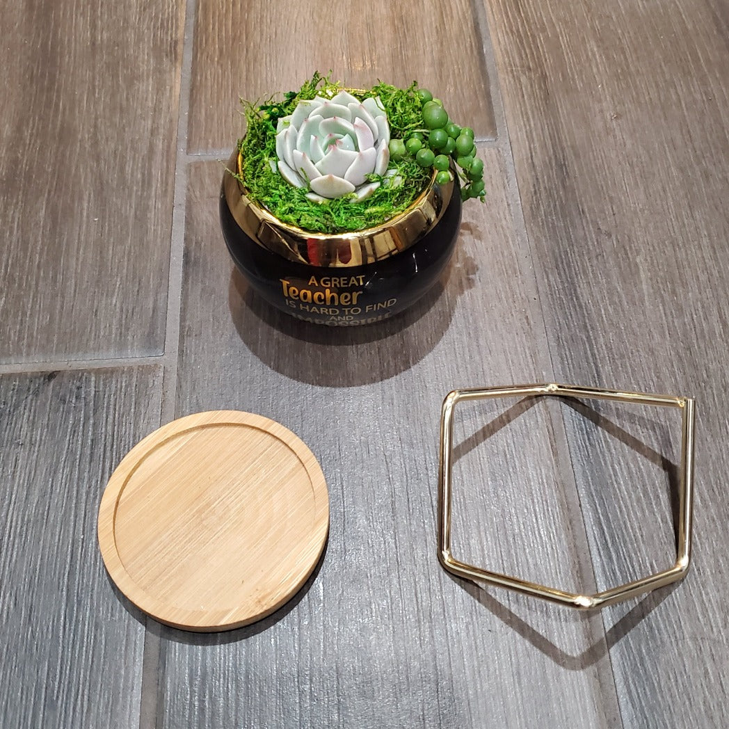 "A Great Teacher is Hard to Find" Succulent Gift Box