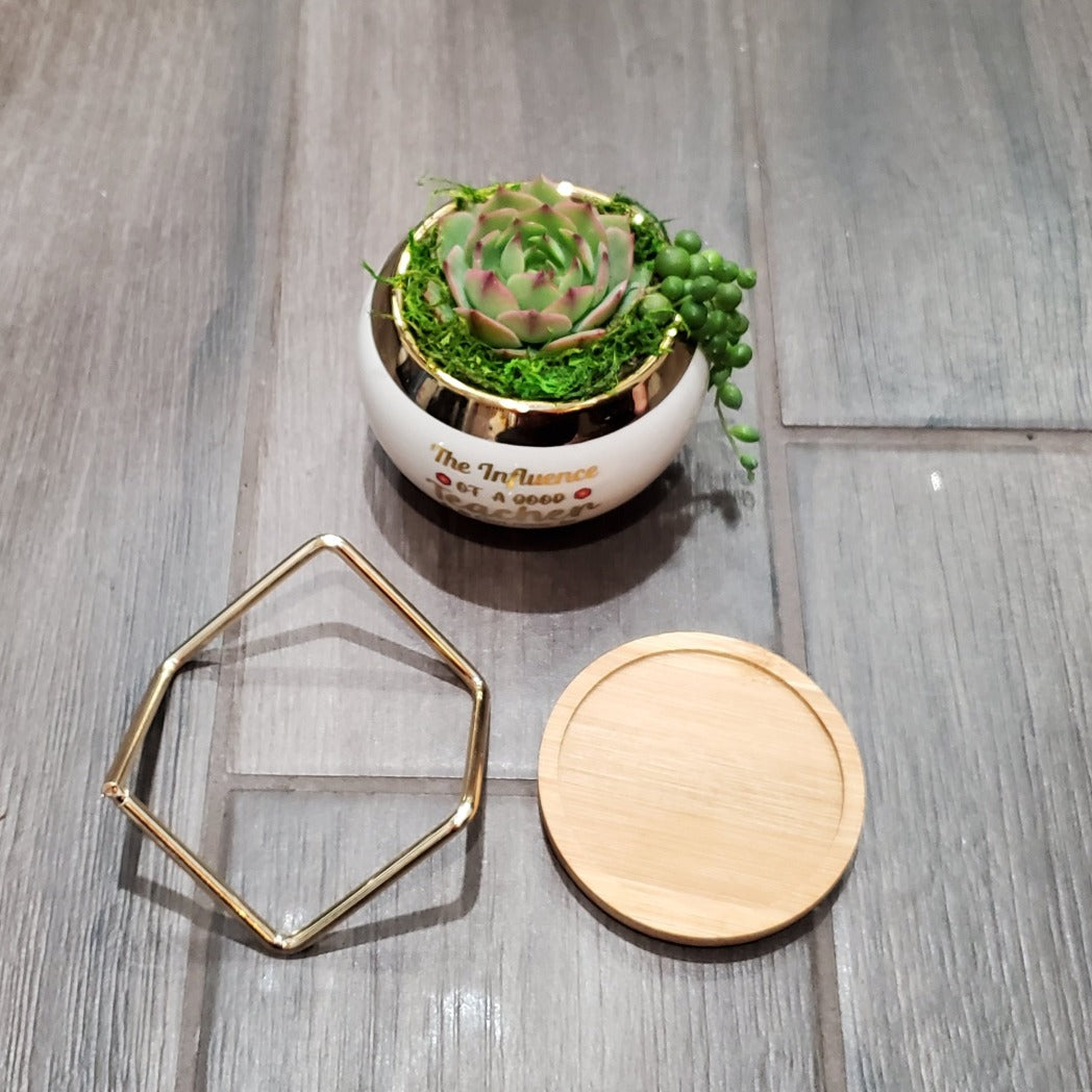 "The Influence of a Good Teacher" Succulent Gift Box