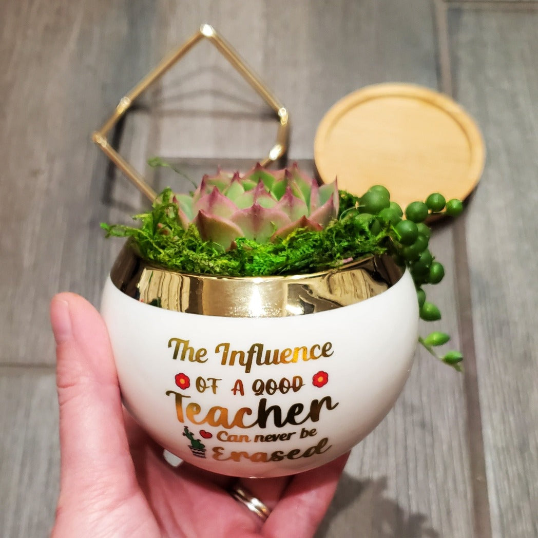 teacher gift succulent "The Influence of a Good Teacher" Succulent Gift Box