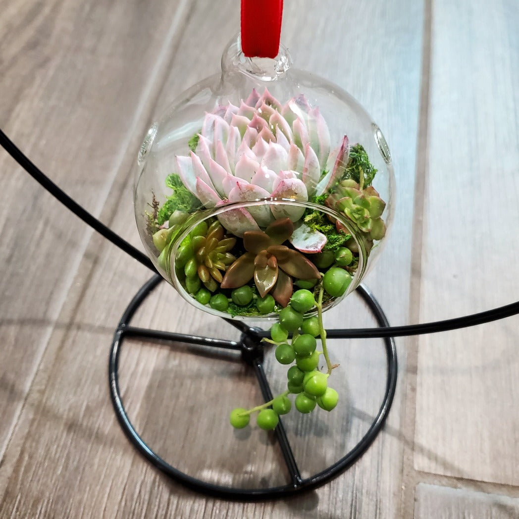 DIY Glass Succulent Hanging Terrarium Kit with Heart Stand