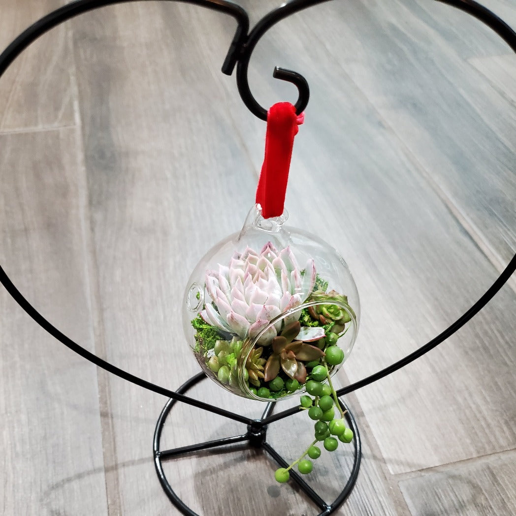 DIY Glass Succulent Hanging Terrarium Kit with Heart Stand