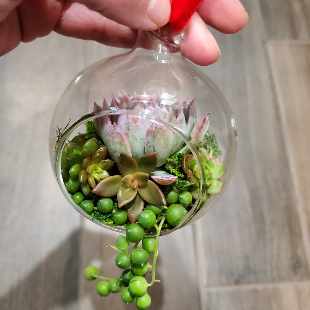 DIY Glass Succulent Hanging Terrarium Kit with Heart Stand