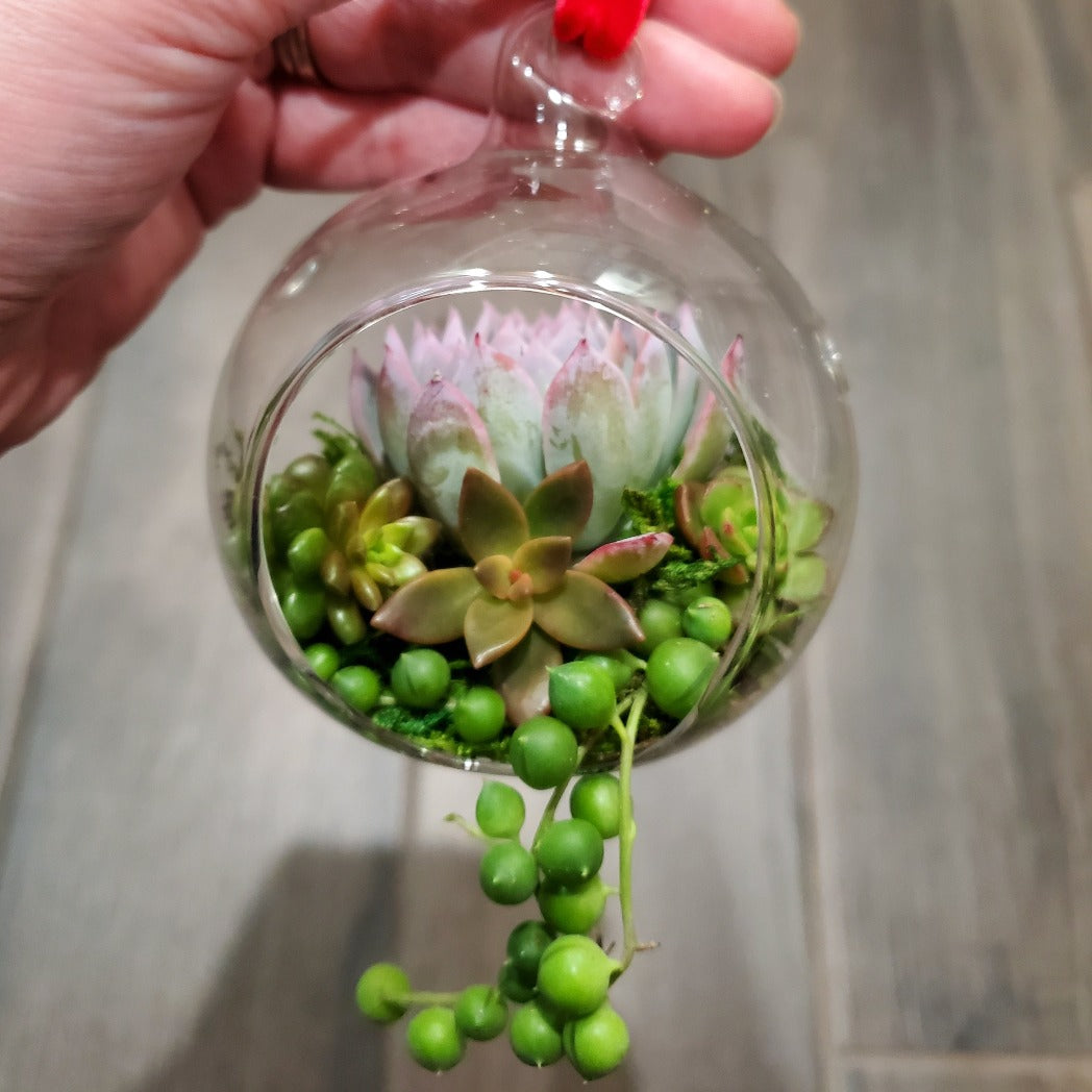 DIY Glass Succulent Hanging Terrarium Kit with Heart Stand