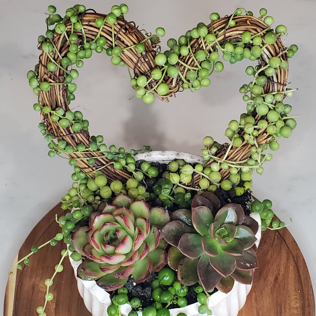 heart trellis for plants Grapevine Heart Trellis