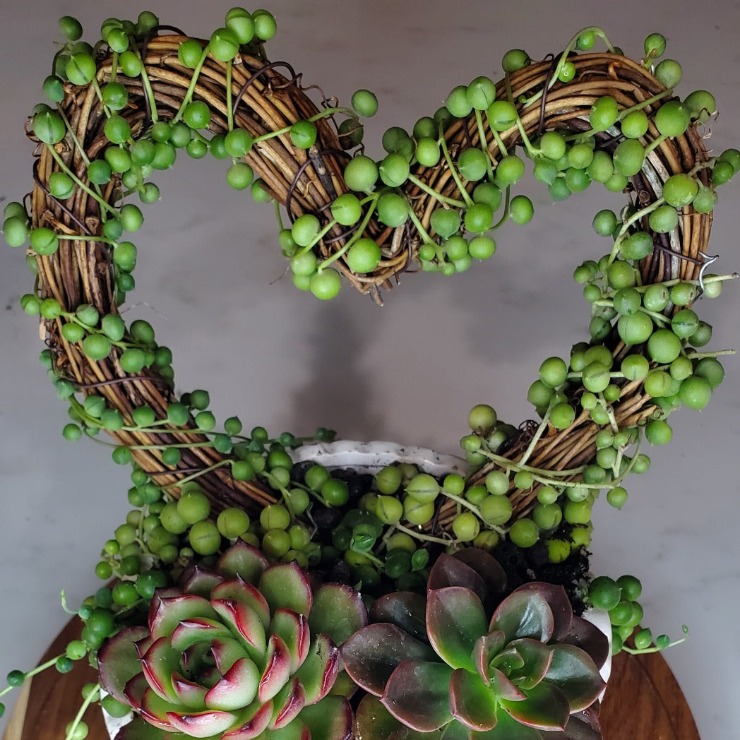 Grapevine Heart Trellis