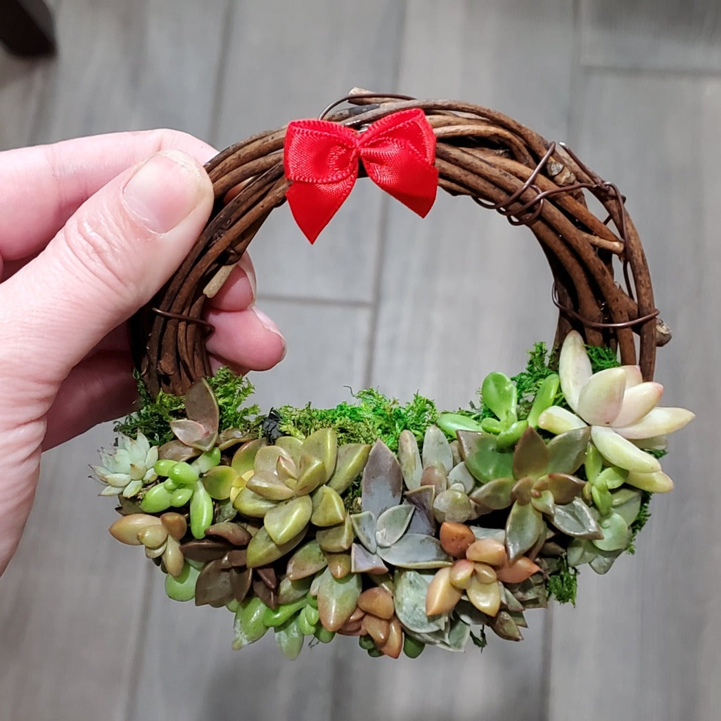 Succulent Wreath Ornament