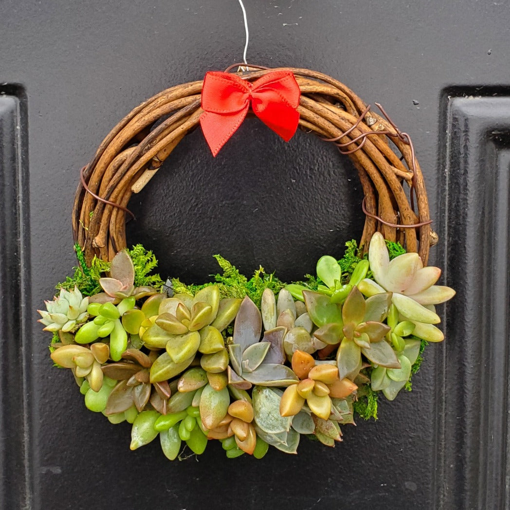 succulent wreath artificial Succulent Wreath Ornament