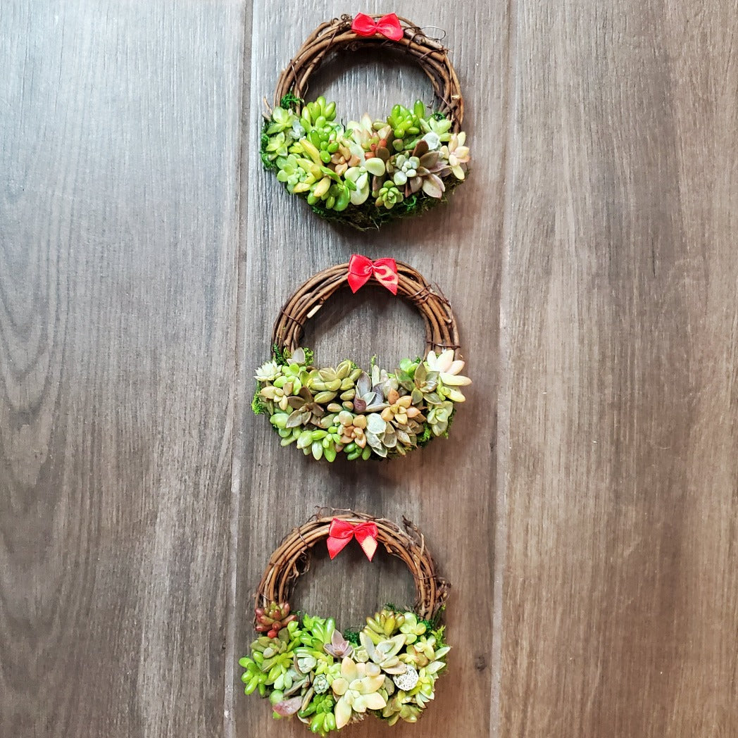 Succulent Wreath Ornament