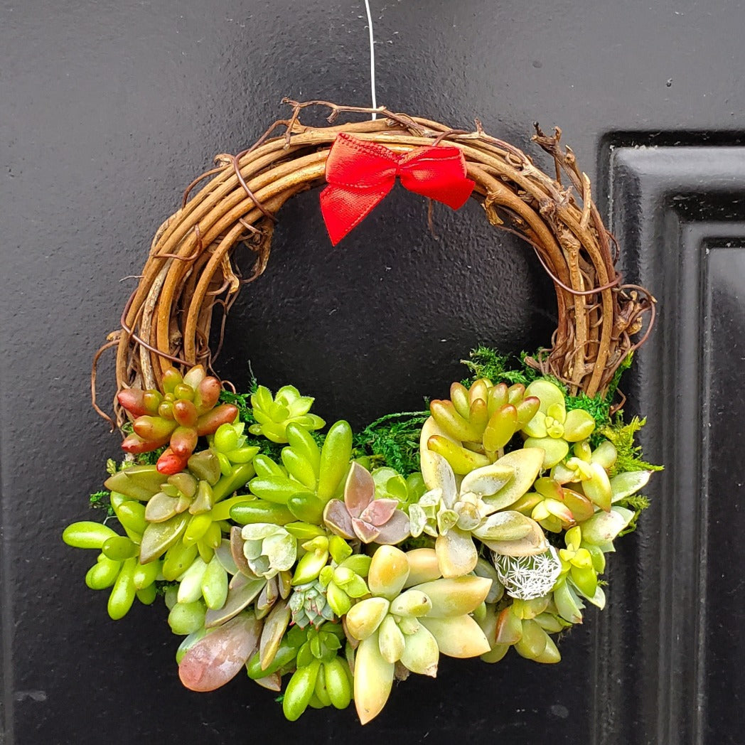 Succulent Wreath Ornament