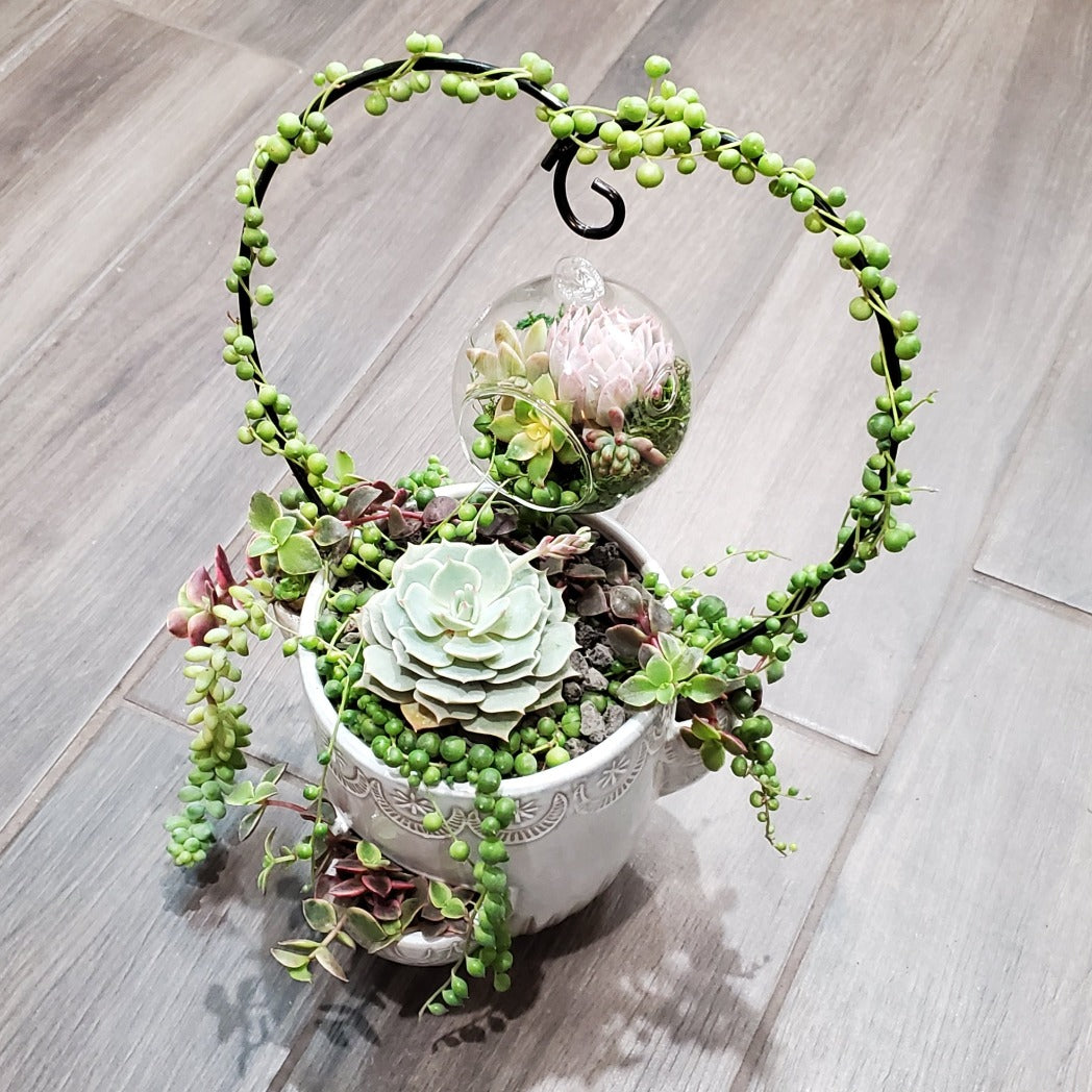 Hanging Terrarium Heart Trellis Arrangement Kit