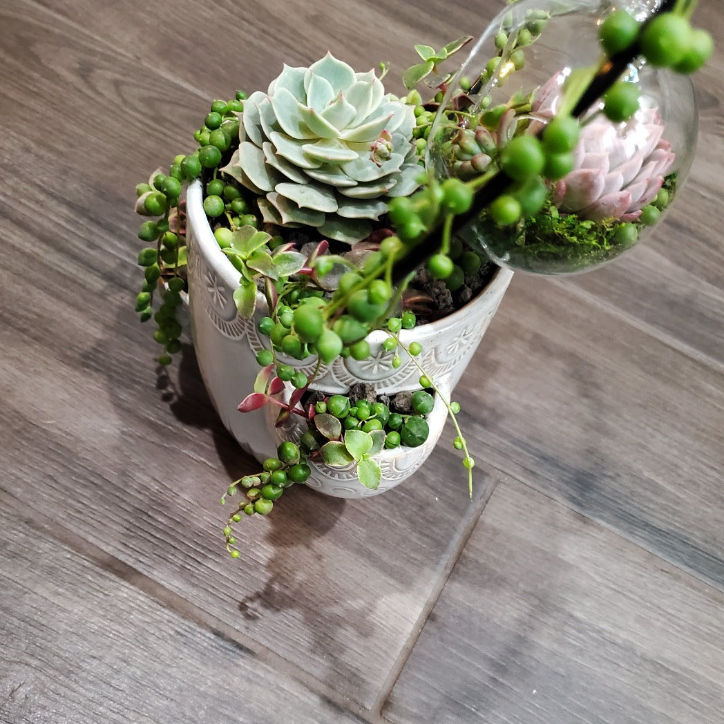 Hanging Terrarium Heart Trellis Arrangement Kit