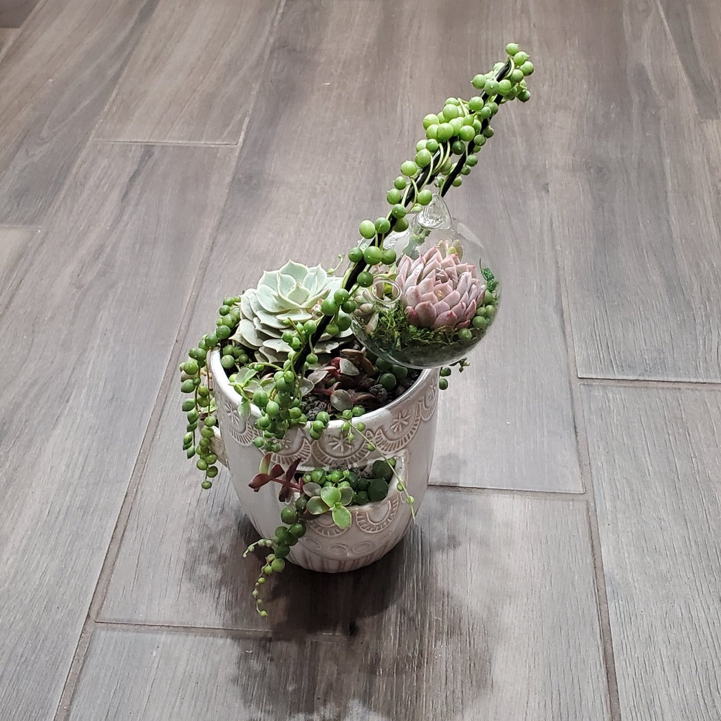 Hanging Terrarium Heart Trellis Arrangement Kit