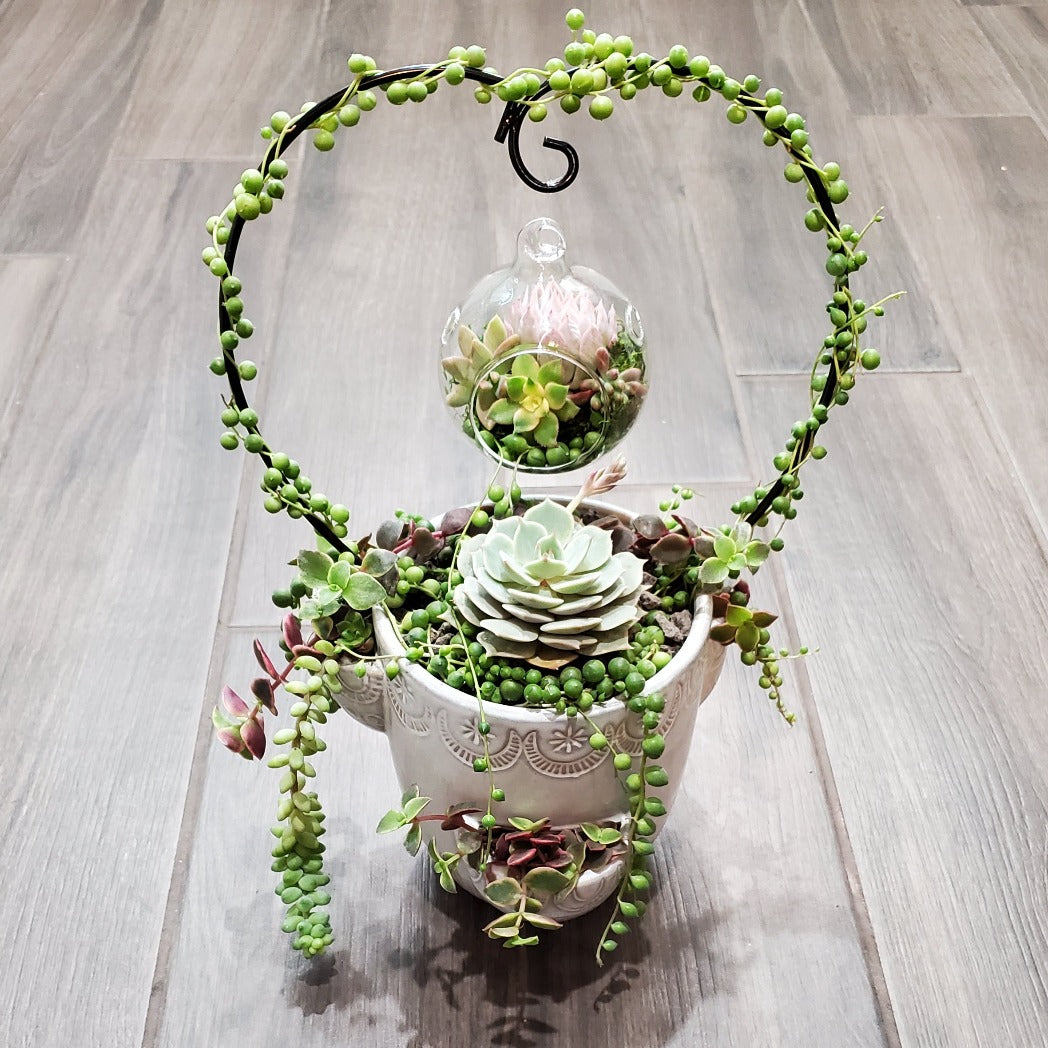 heart shaped hanging succulent Hanging Terrarium Heart Trellis Arrangement Kit