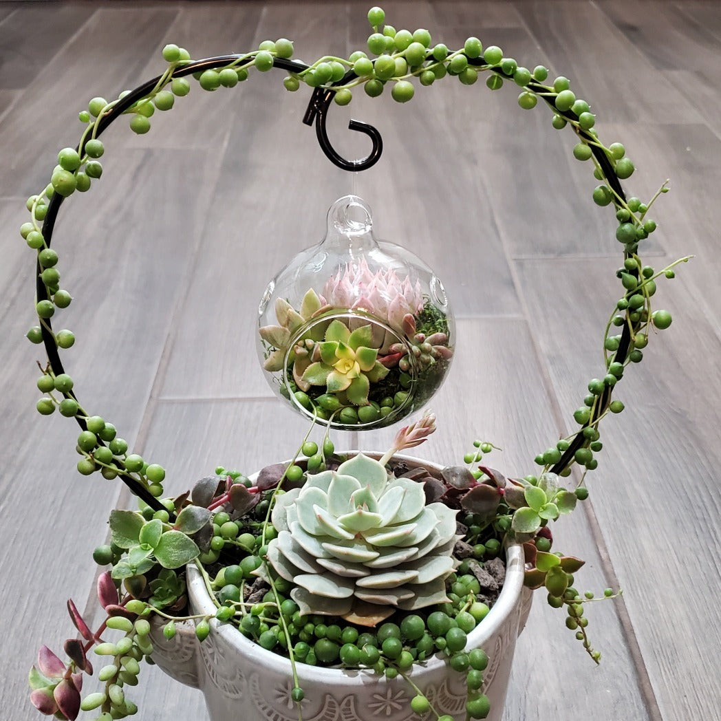 succulent trellis Hanging Terrarium Heart Trellis Kit