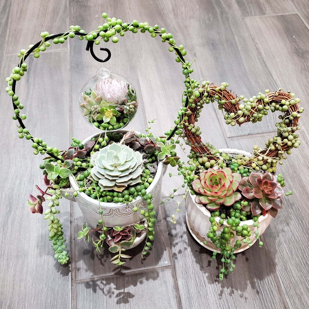 Hanging Terrarium Heart Trellis Arrangement Kit