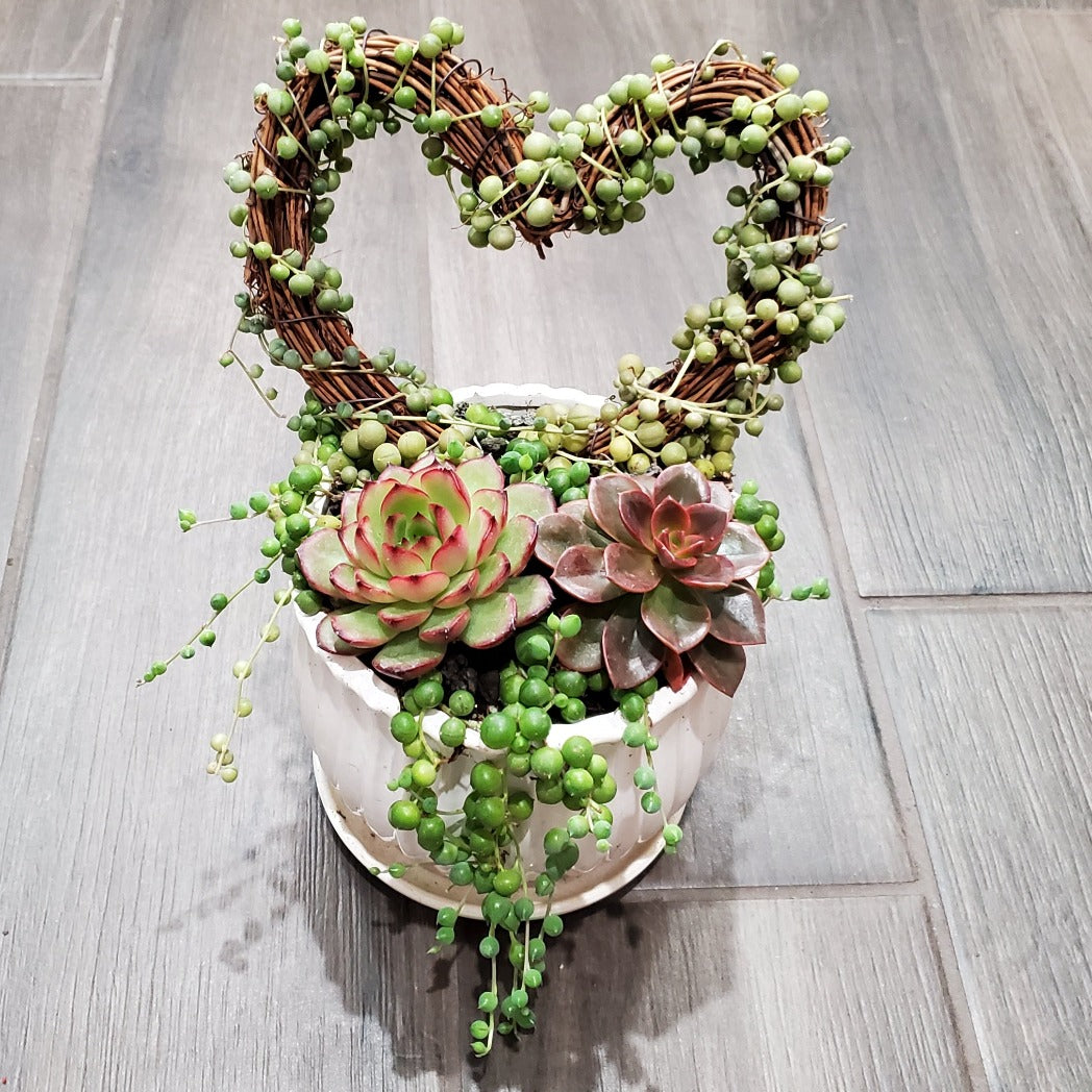 succulent heart arrangement Grapevine Heart Trellis Arrangement Kit