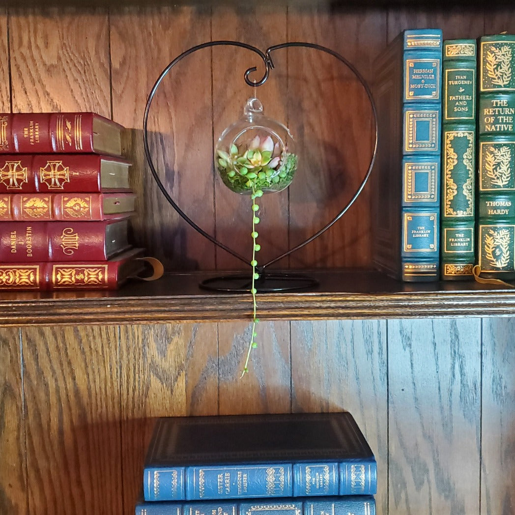 DIY Glass Succulent Hanging Terrarium Kit with Heart Stand