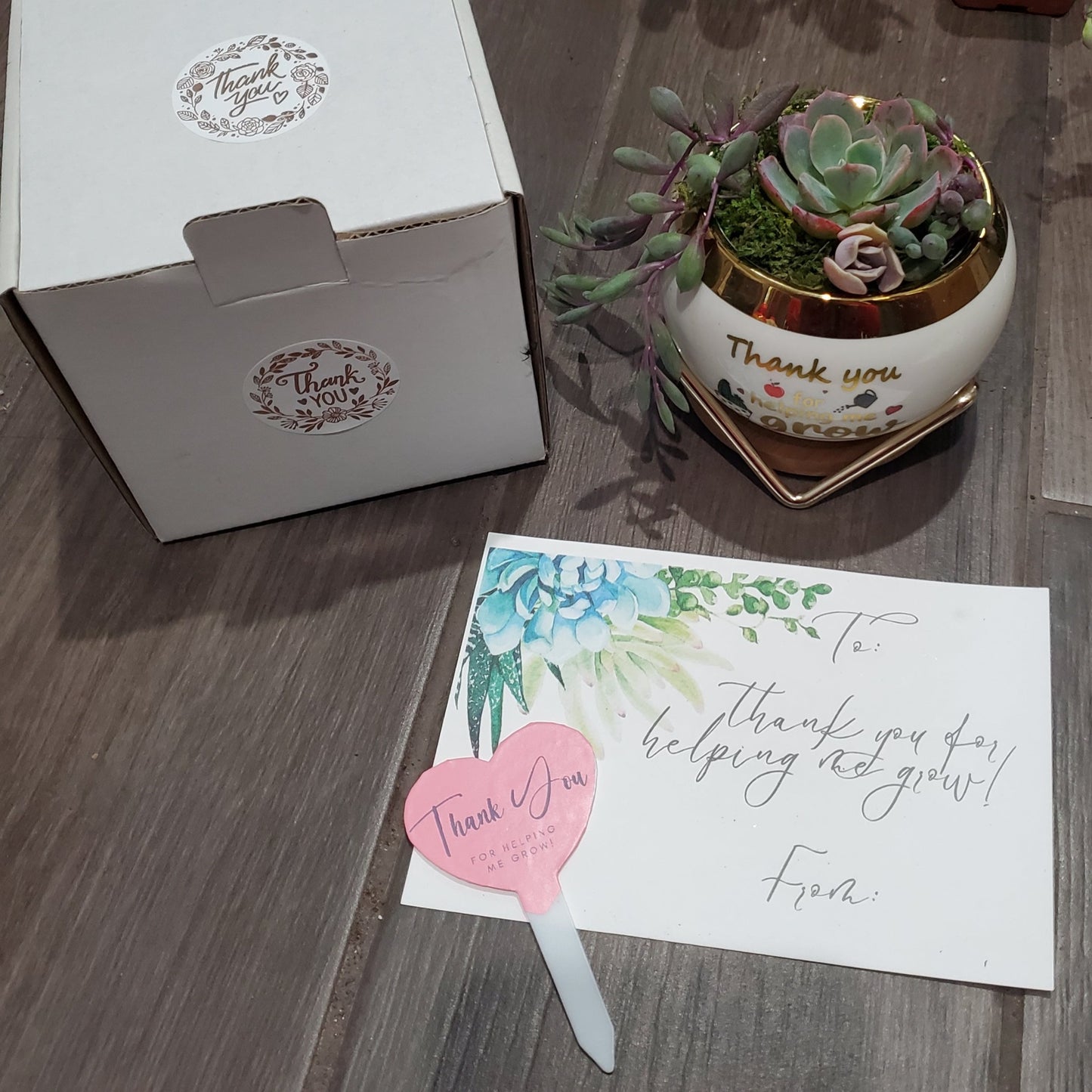 "A Great Teacher is Hard to Find" Succulent Gift Box