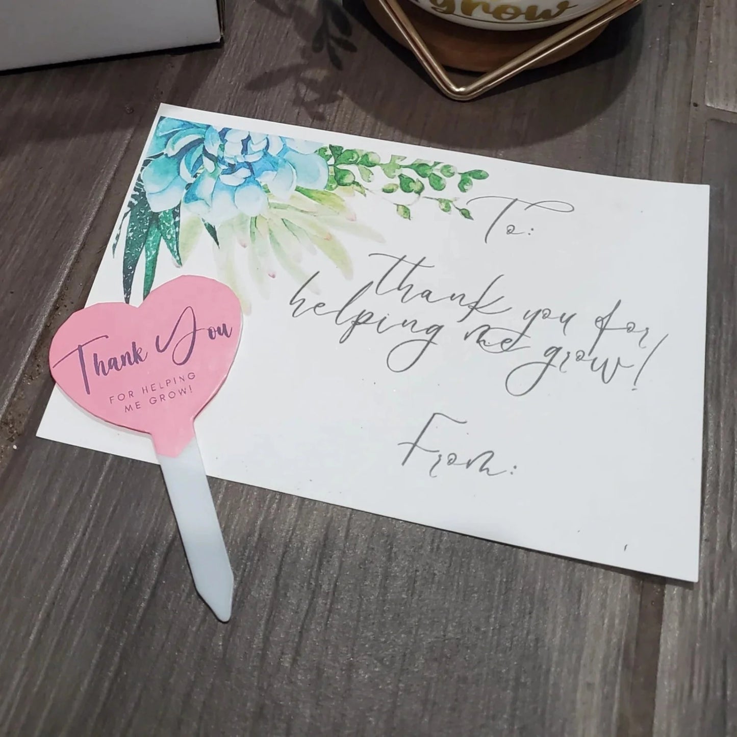 "Thank you for helping me grow" Succulent Gift Box