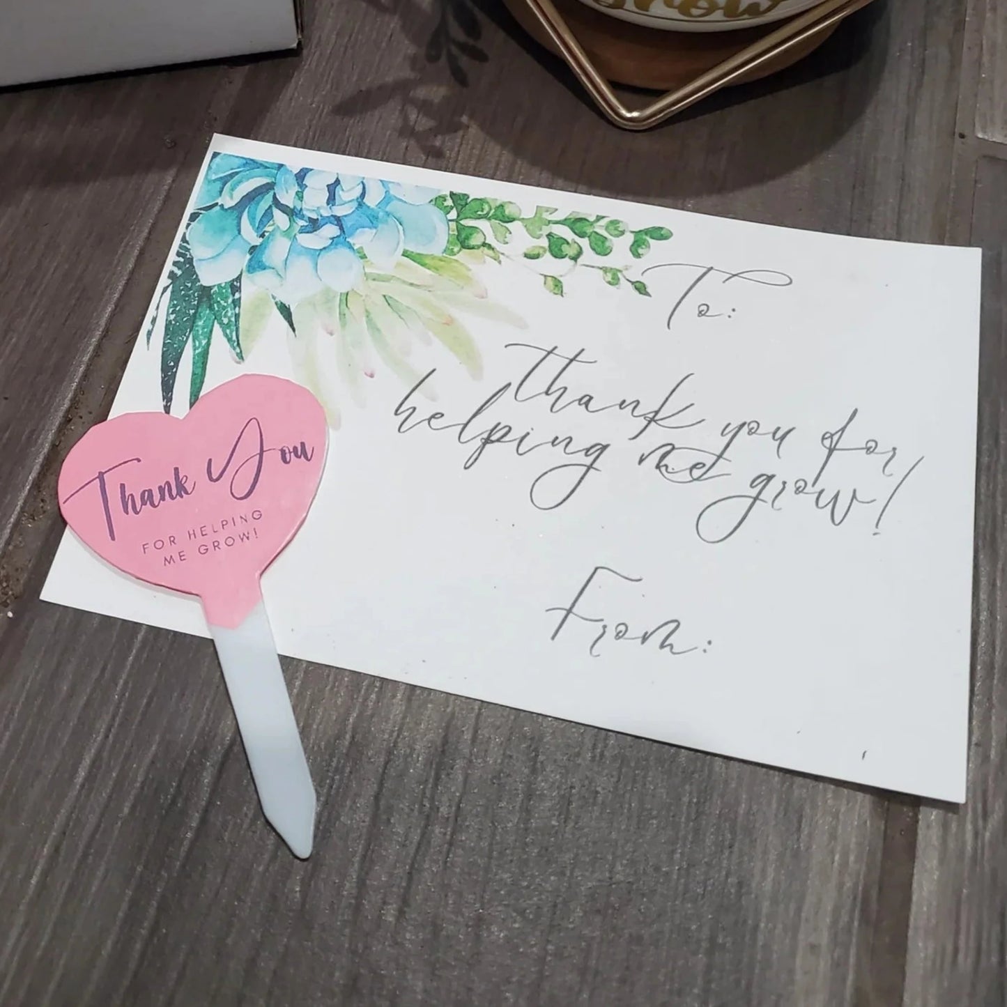 "The Influence of a Good Teacher" Succulent Gift Box