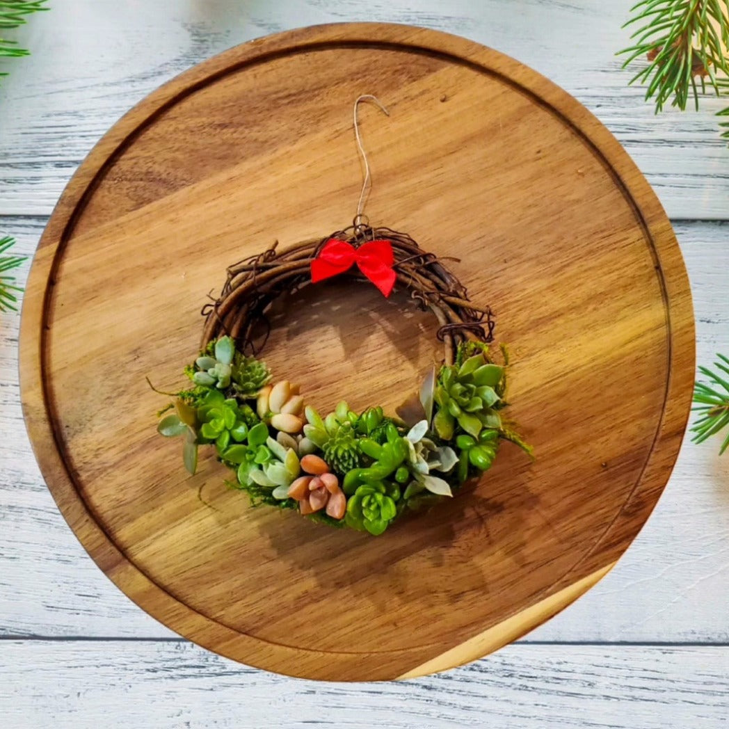 succulent christmas wreath Succulent Christmas Wreath Ornament